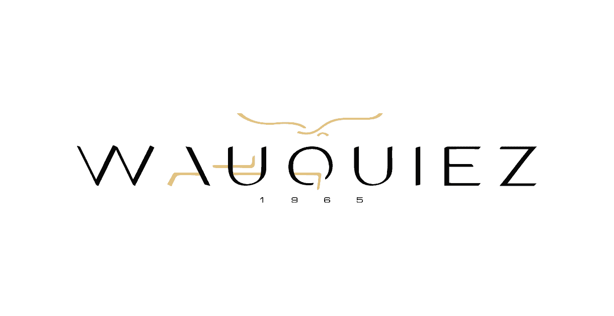 Le nouveau logo de la marque Wauquiez